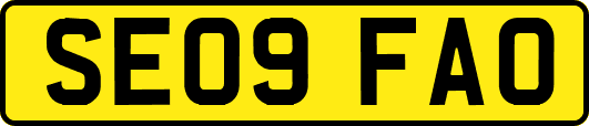 SE09FAO