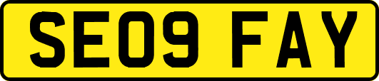 SE09FAY