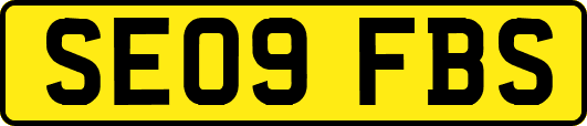 SE09FBS