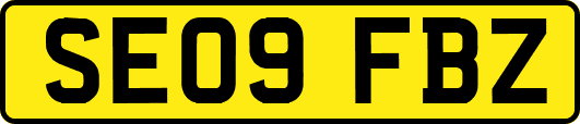 SE09FBZ
