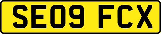 SE09FCX