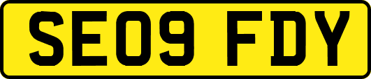 SE09FDY