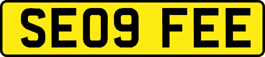SE09FEE