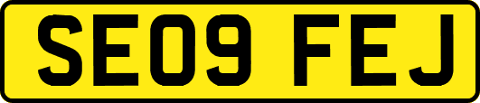 SE09FEJ