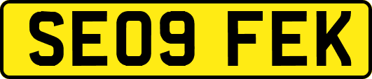 SE09FEK