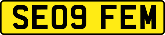 SE09FEM