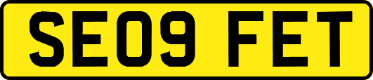 SE09FET