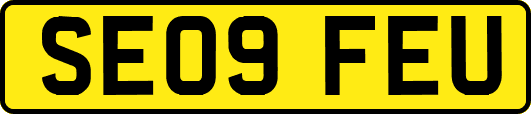 SE09FEU