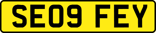 SE09FEY