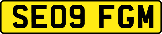 SE09FGM