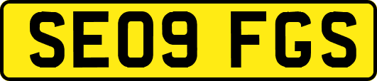 SE09FGS