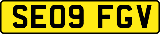 SE09FGV