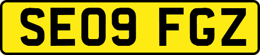 SE09FGZ