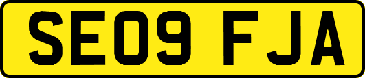 SE09FJA