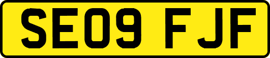 SE09FJF