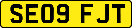 SE09FJT