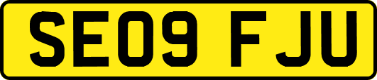 SE09FJU