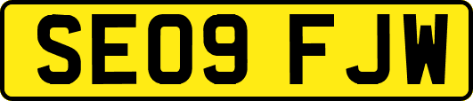 SE09FJW