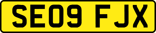 SE09FJX