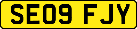 SE09FJY