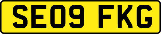 SE09FKG