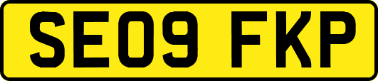 SE09FKP