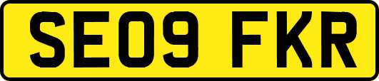 SE09FKR