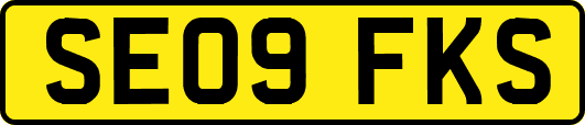SE09FKS