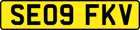 SE09FKV