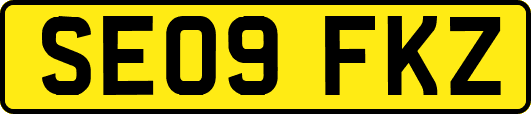 SE09FKZ