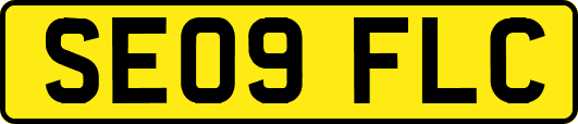 SE09FLC
