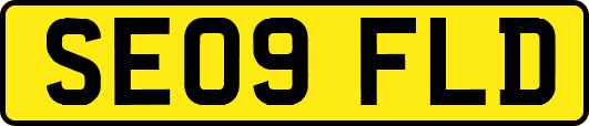 SE09FLD