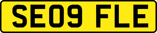 SE09FLE