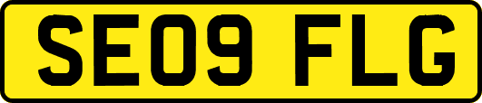 SE09FLG