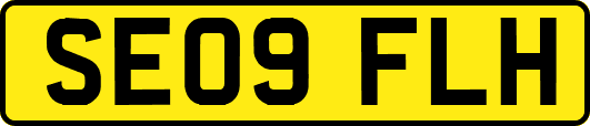SE09FLH