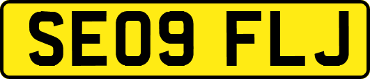 SE09FLJ