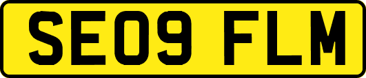 SE09FLM
