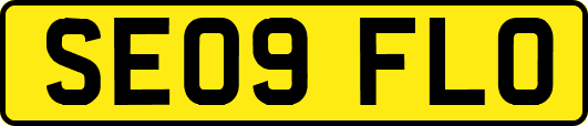 SE09FLO