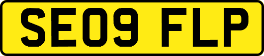 SE09FLP