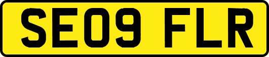 SE09FLR