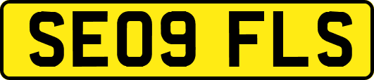 SE09FLS