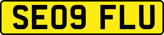 SE09FLU