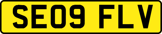 SE09FLV