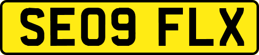 SE09FLX