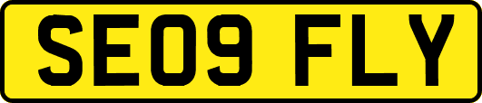 SE09FLY