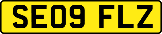 SE09FLZ