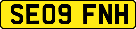 SE09FNH