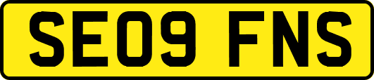 SE09FNS