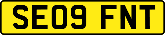 SE09FNT
