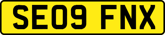 SE09FNX